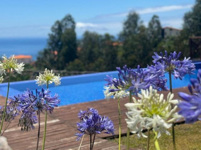 Modular Villa Calheta  Bagian luar foto