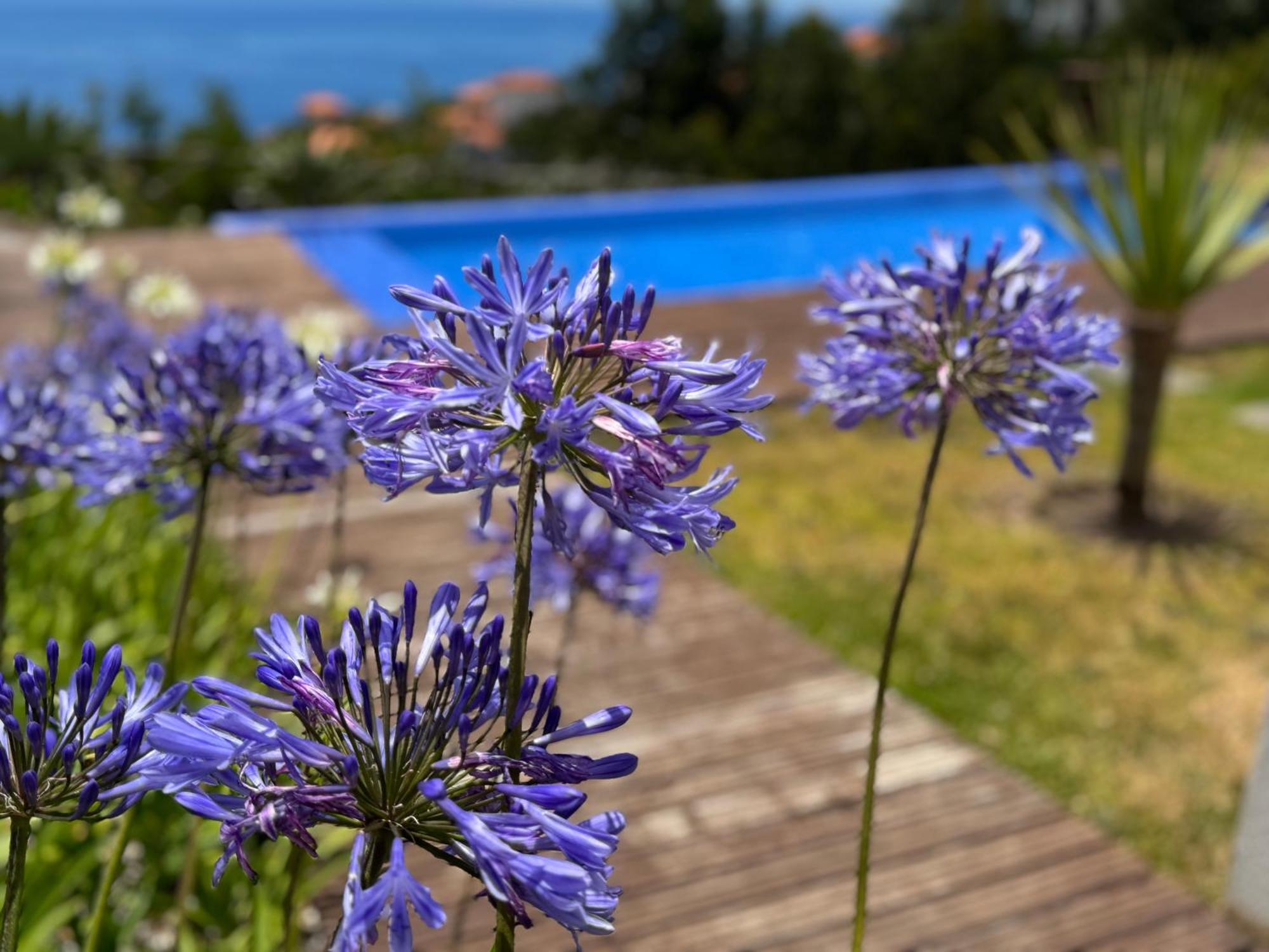 Modular Villa Calheta  Bagian luar foto